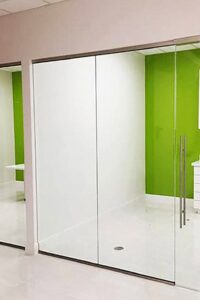 Commercial-Glass-panels-with-door