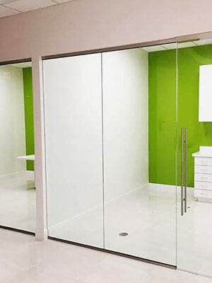 Commercial-Glass-panels-with-door